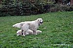 Abby mit der Mama Denise