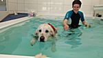 man muss sich ans Schwimmen im Becken erstmal gewöhnen