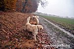 zwei Ruten oben - Lucky gegen Lucky