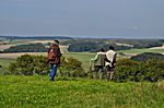 Die Feldschleppe mit Kaninchen