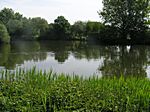 Der See und ein wunderschönes Wetter.