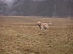 07.02.2009 - Dummy Training bei "Crosswind´s"