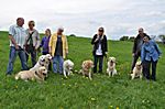 Lucky(Papa), Denise, Mailo, Sam, Hope(Mama), Pelle und Lucky