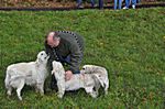 Lothar, Denise und die Welpen