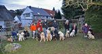 Wurftreffen bei Golden of Lions - mit Lucky, Abbie und allen 9 Kindern