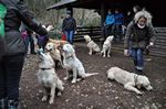 kurze Pause im Wald