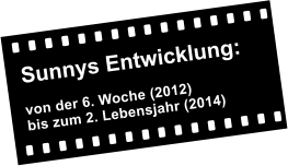 Sunnys Entwicklung:    von der 6. Woche (2012) bis zum 2. Lebensjahr (2014)